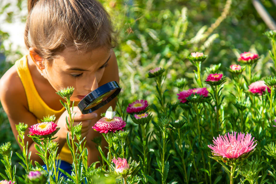 The 4 Best Spring Experiments for at-Home Scientists – The Lab Stockroom