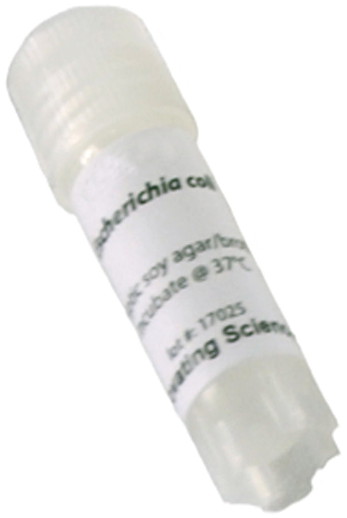 E. Coli Freeze-Dried Culture, Lyophilized Pellet in Vial