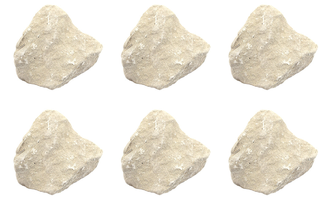 Limestone Chalk Specimen