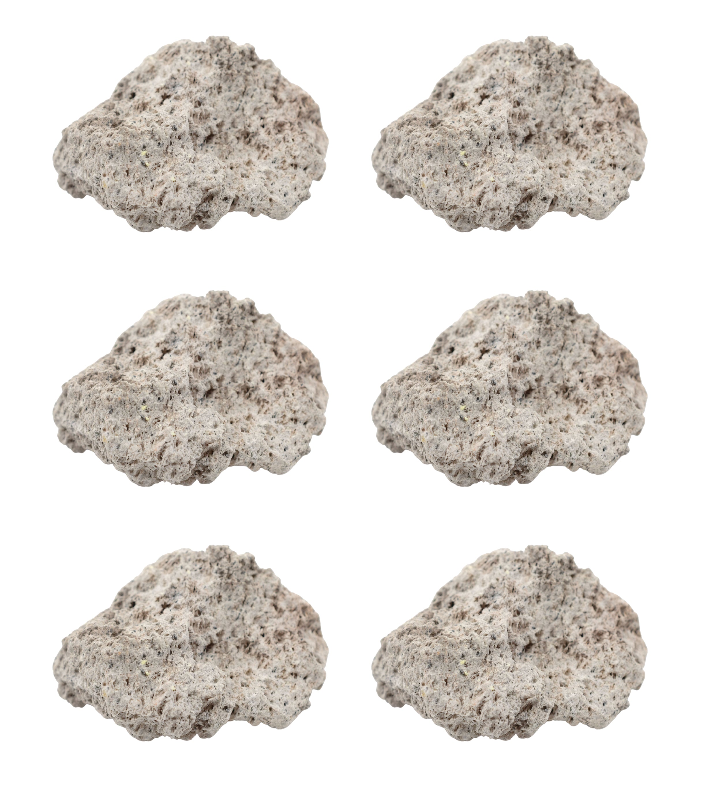 Pumice Specimen