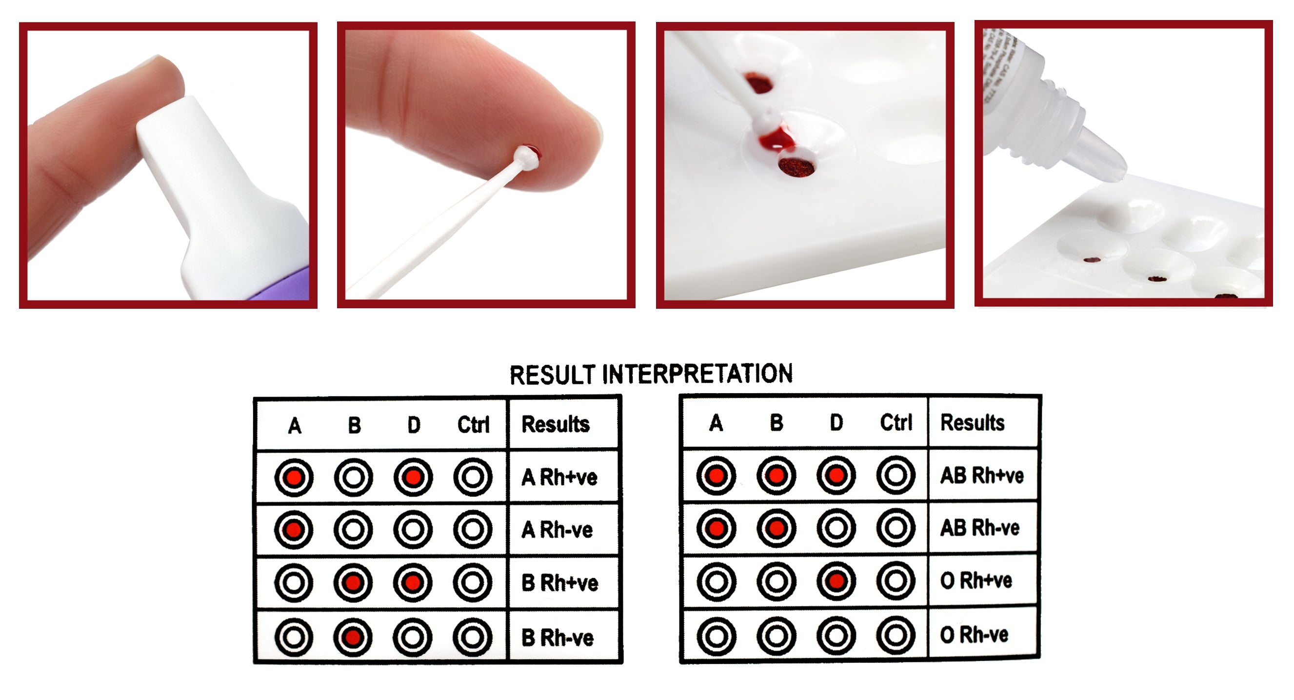Erycard ABO/Rh Blood Typing Card for Classroom Use