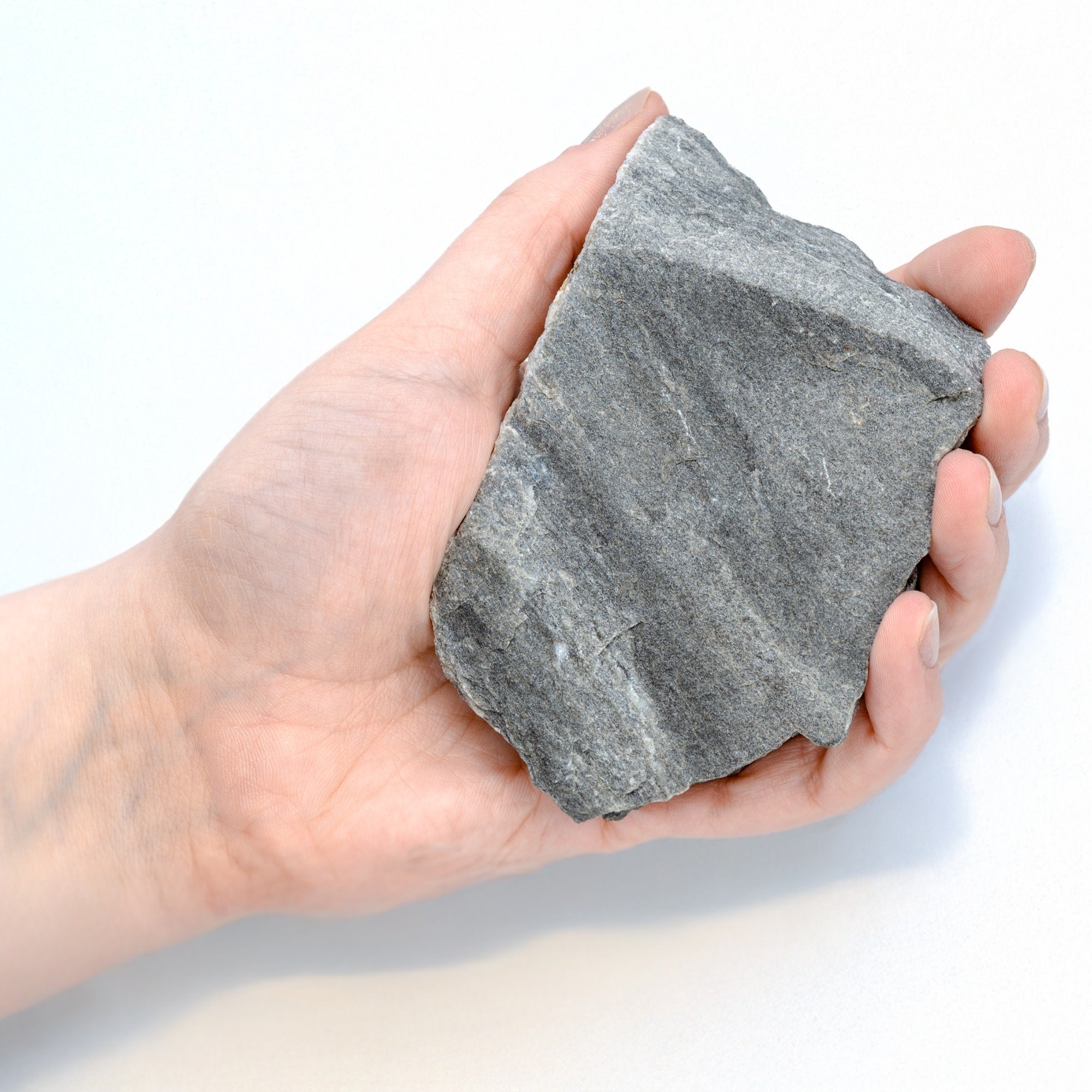 Raw Phyllite Metamorphic Rock Hand Sample, Labeled for Geology Classroom, Approx 3 inch