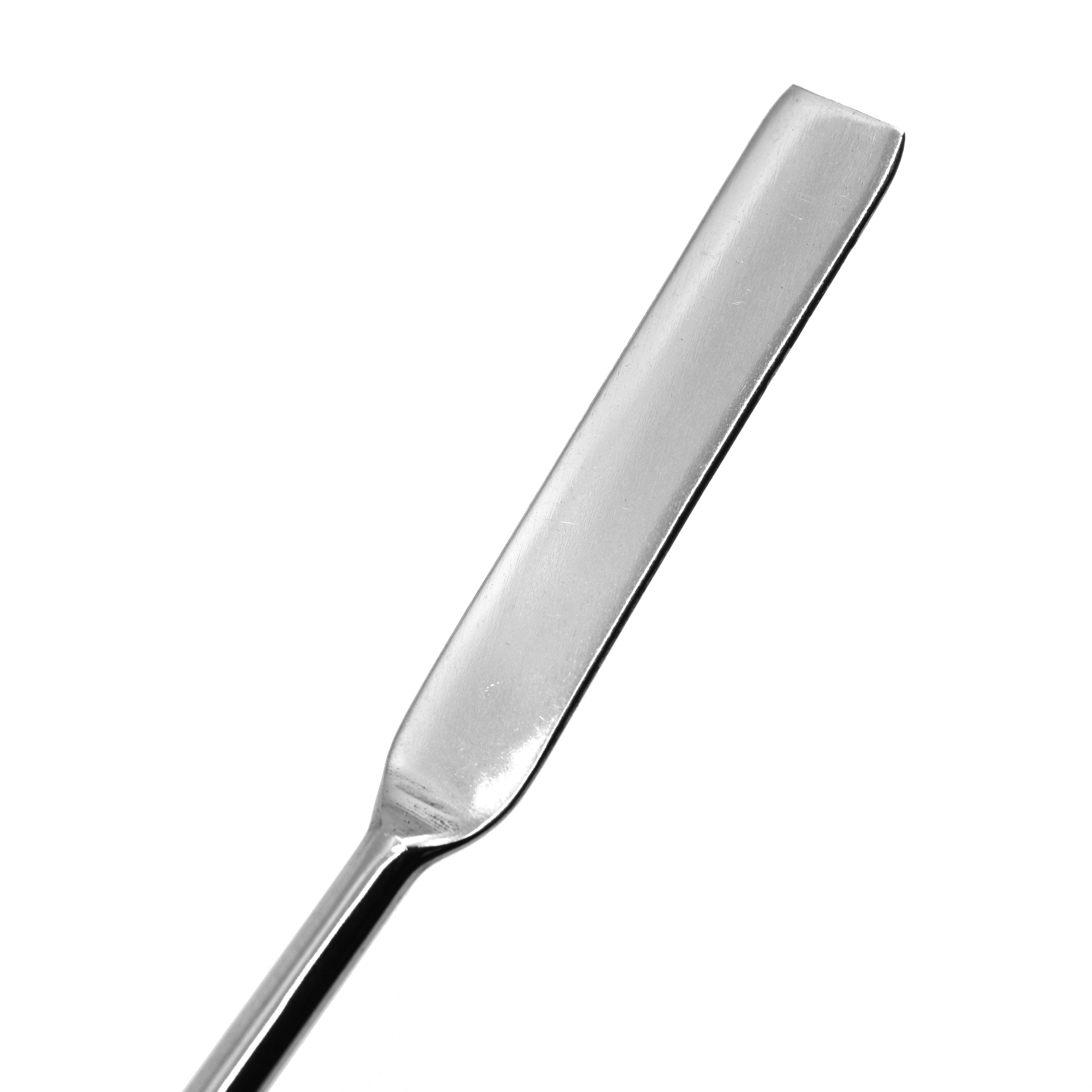 Stainless Steel Lab Spatula Spoon, 9", 6-Pack