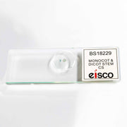 Monocot and Dicot Root Comparison Prepared Microscope Slide