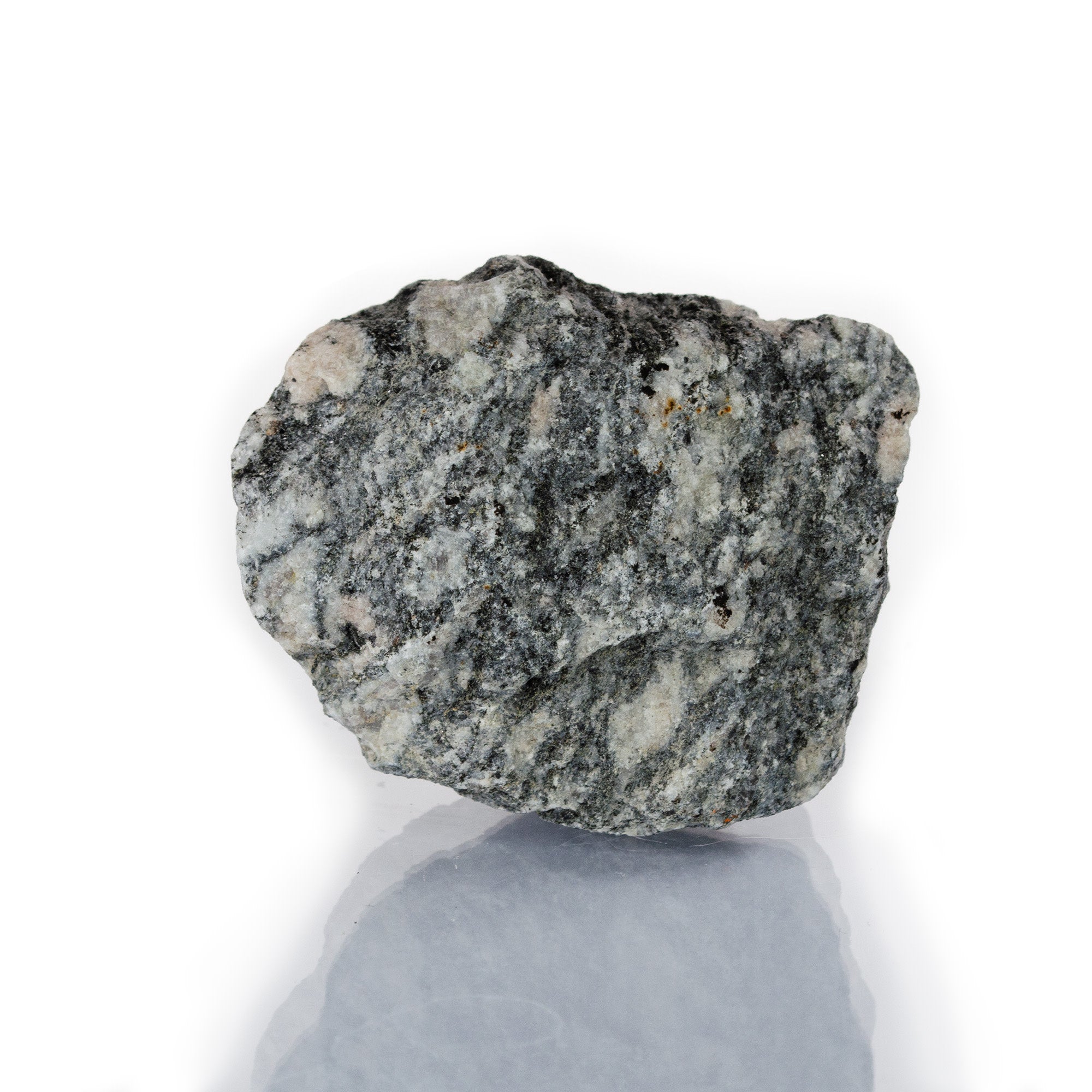 Raw Coarse-Grained Foliated Biotite Gneiss Metamorphic Rock Hand Sample, Approx 2.75 inch