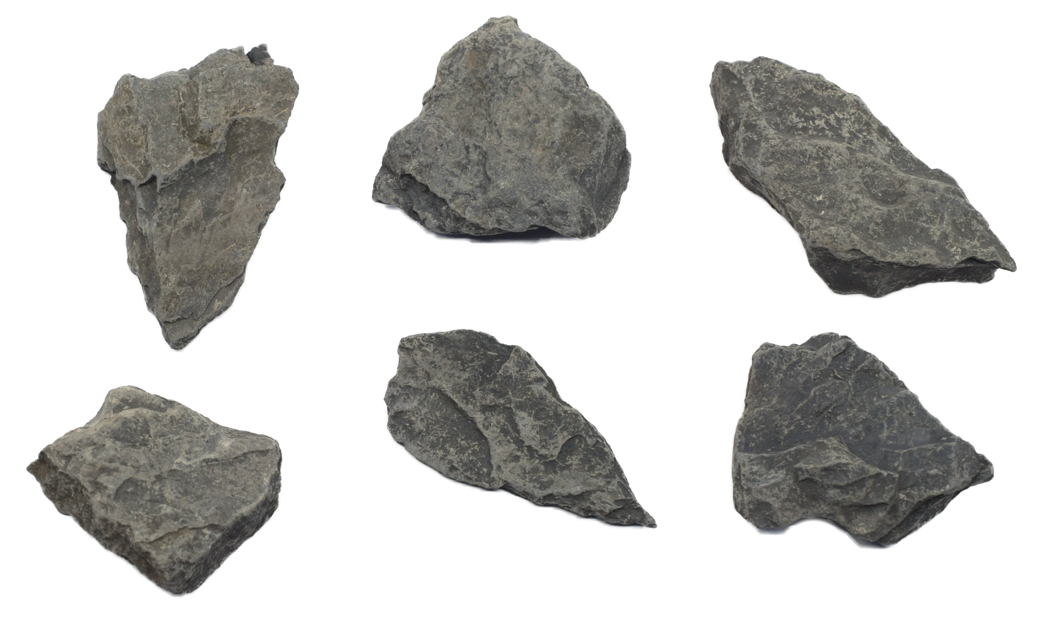 Carbonaceous Shale Specimen