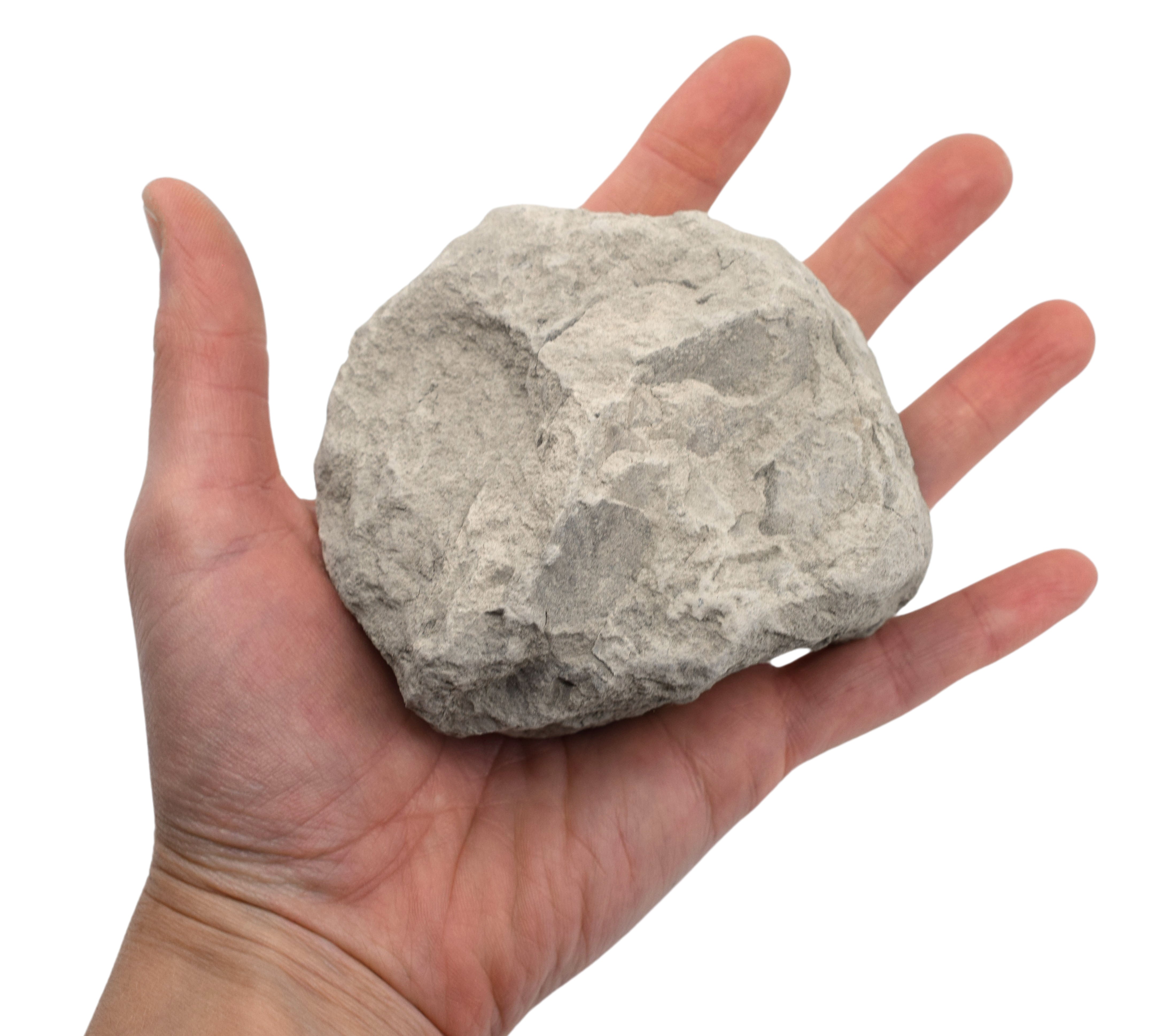 Raw Limestone Chalk Sedimentary Rock Hand Sample, Approx 3 inch