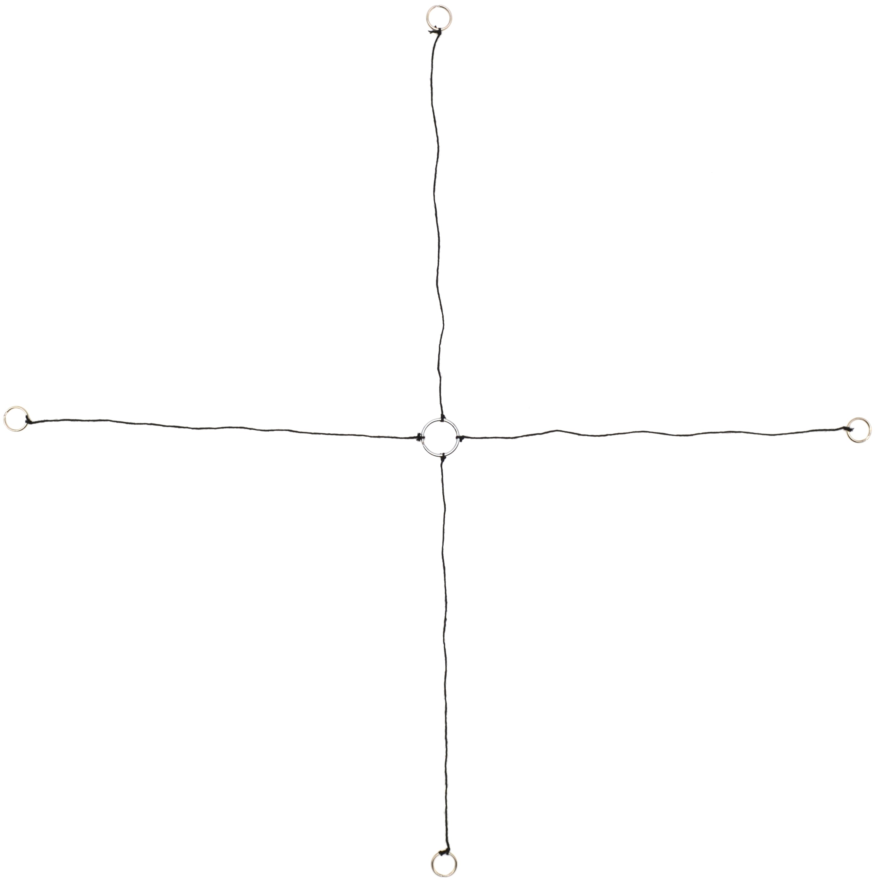 Replacement Ring and String for Standard Force Table