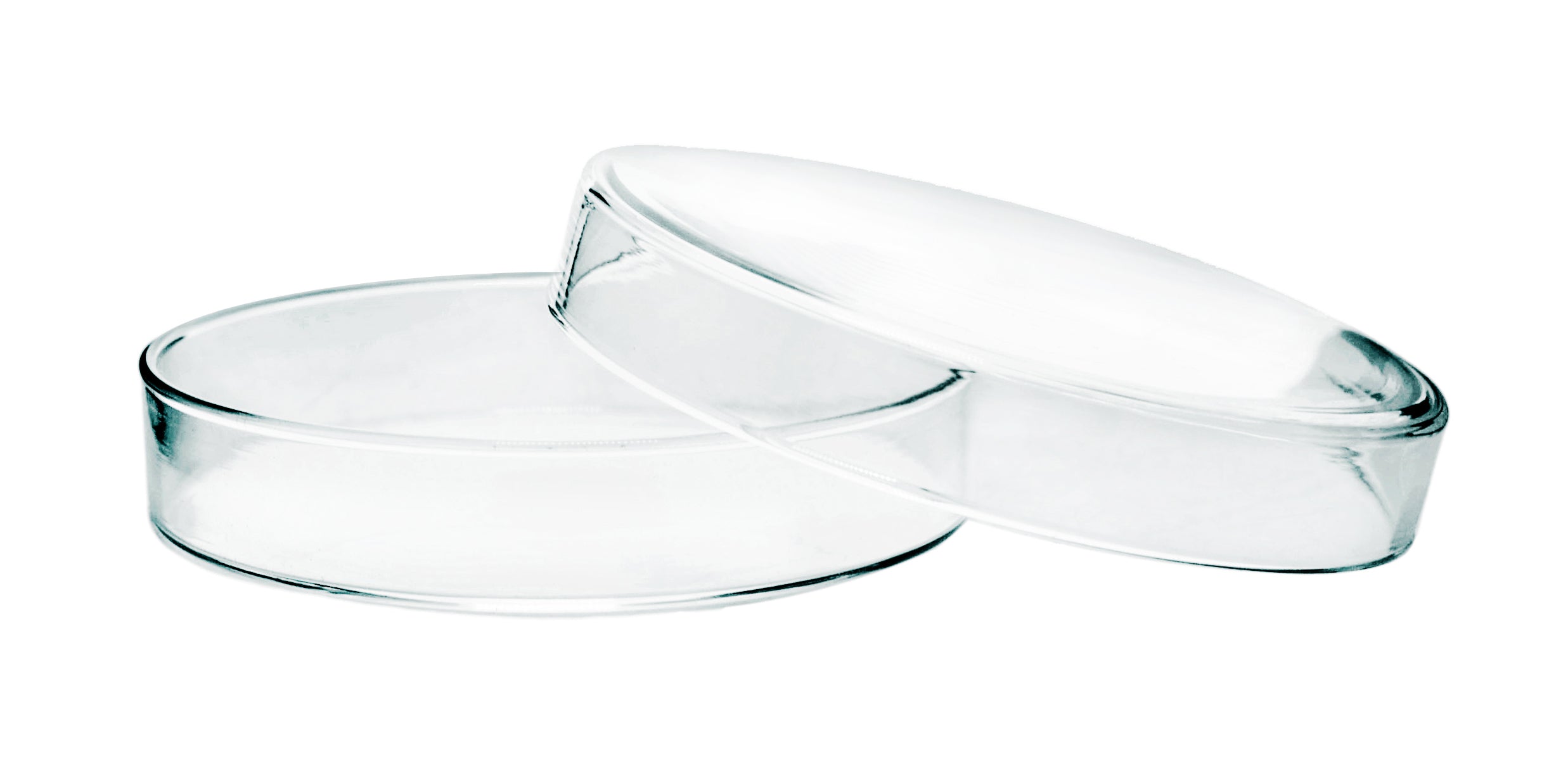 Soda Lime Glass Petri Dish
