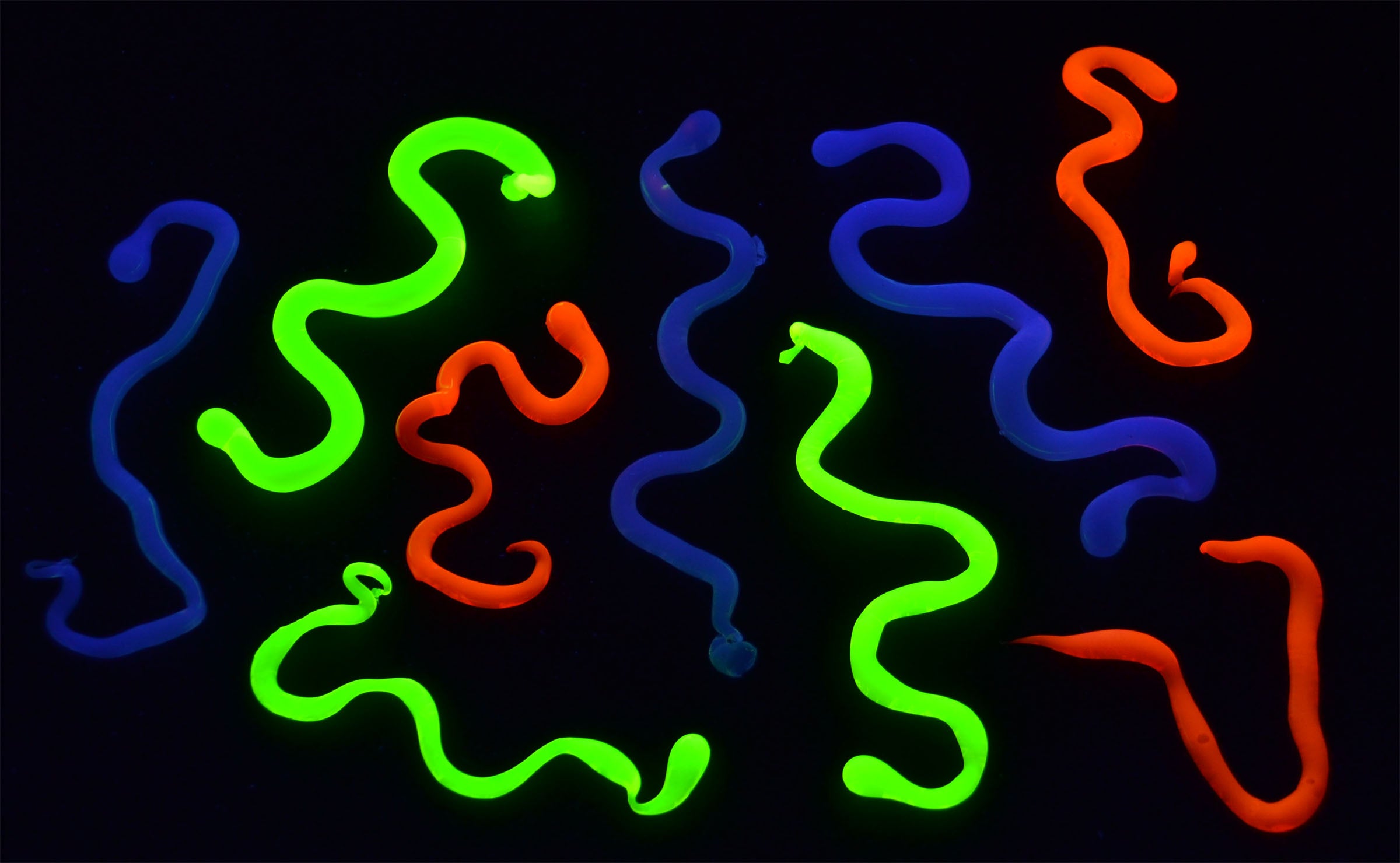 Fluorescent Worms Polymer Chemistry Kit