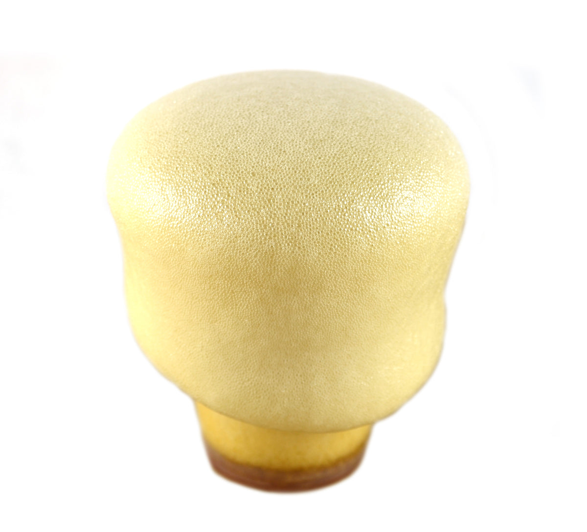Polyurethane Foam Chemistry Demonstration Kit