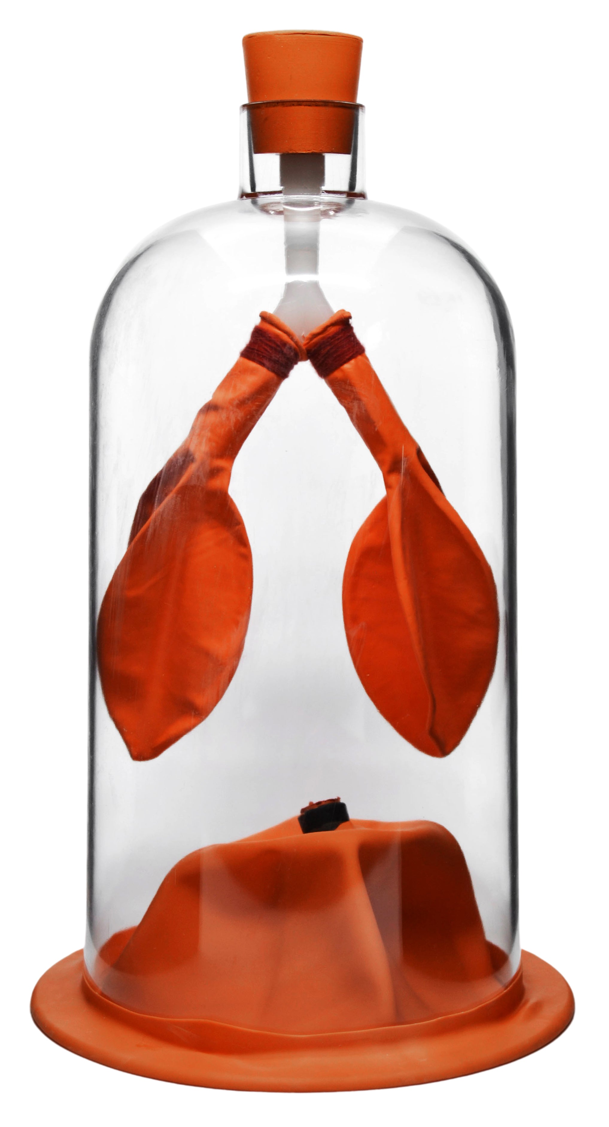 Lung Function Demonstration Model