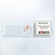 Pine Mature Stem Cross-Section Prepared Microscope Slide