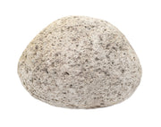 Raw Pumice Igneous Rock Hand Sample, Approx 3 inch