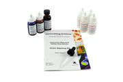 Gram Stain Kit, 7 Dropper Bottles