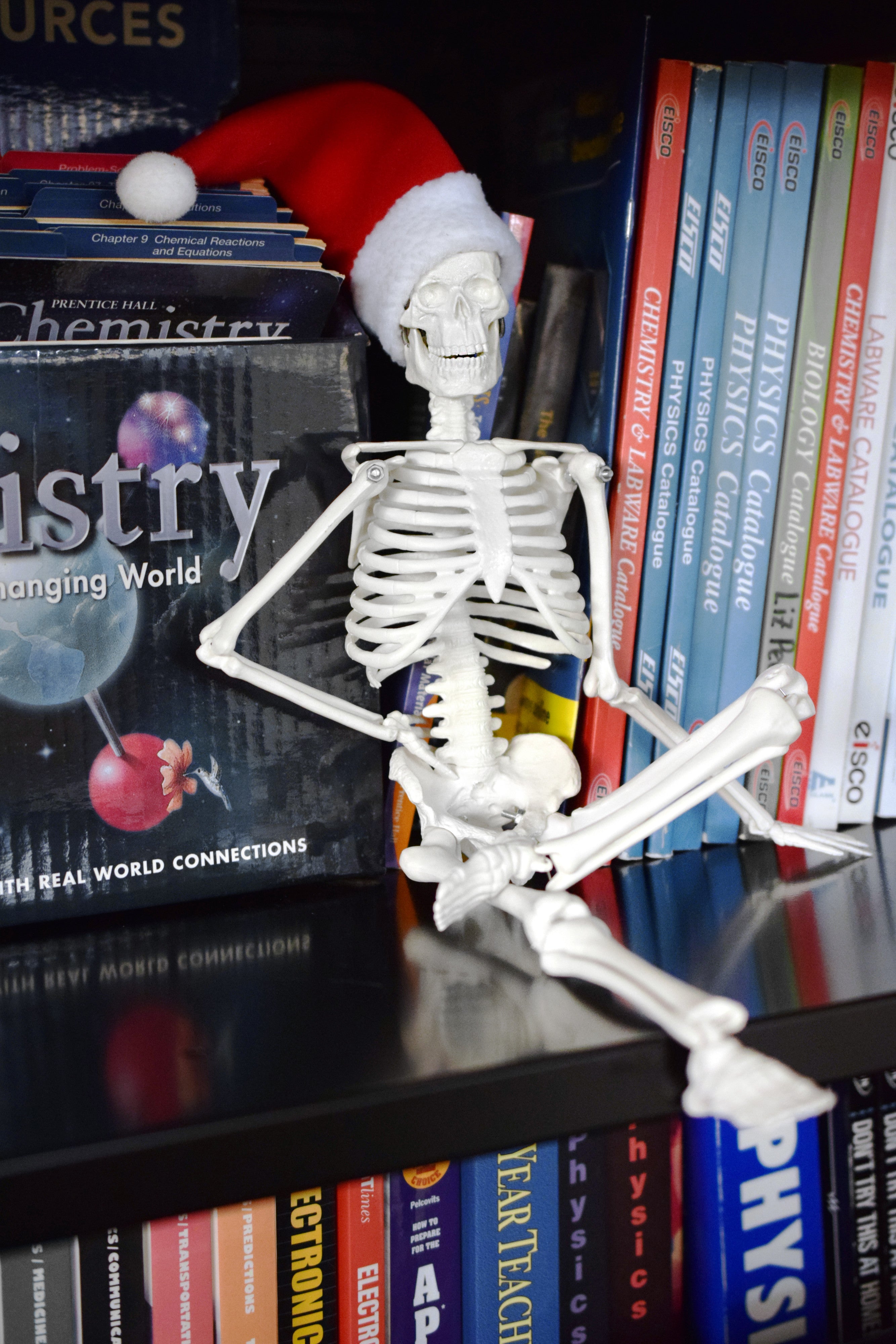 Dead Elf in the Lab 17 inch Miniature Skeleton with Santa Hat and Christmas Coal