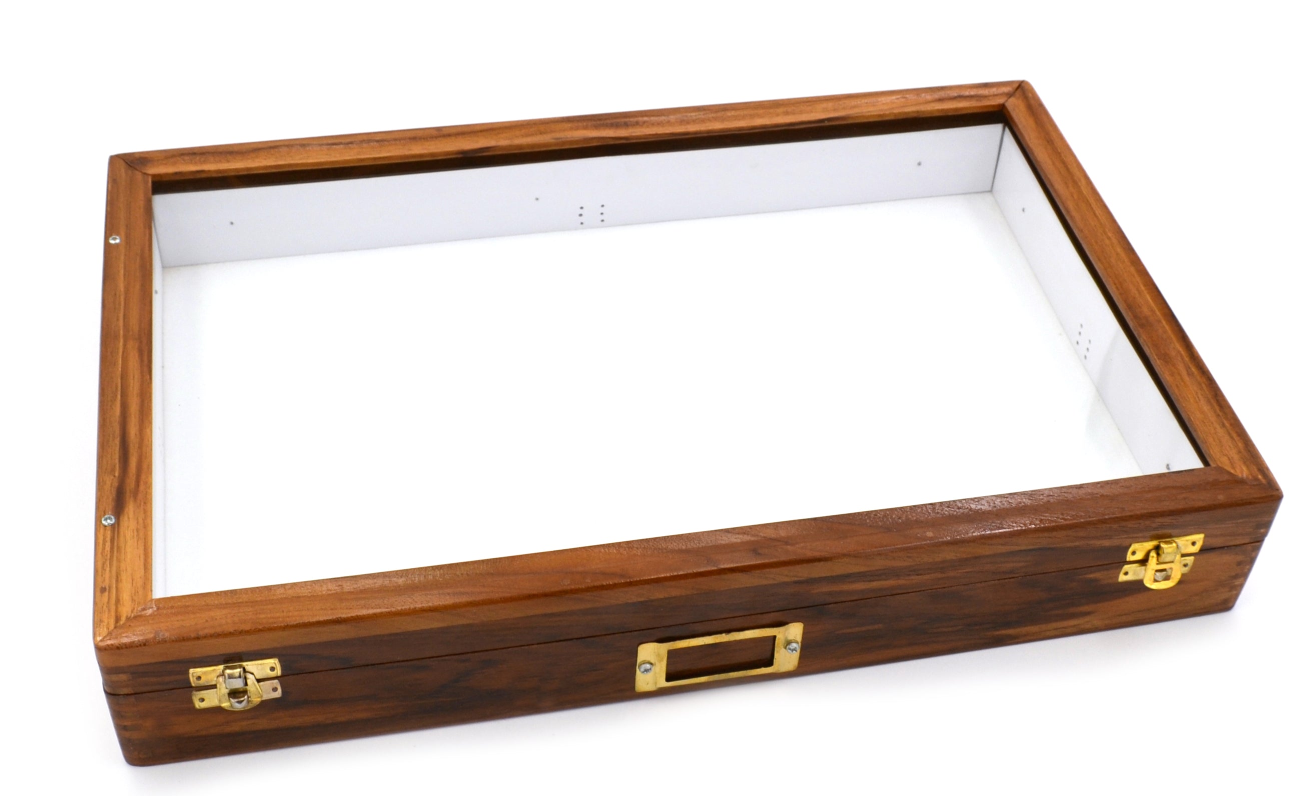 Polished Wood Insect Storage Box