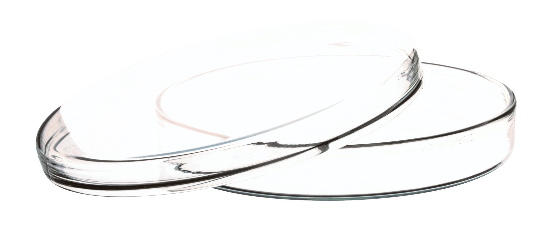 Borosilicate Glass Petri Dish with Beaded Edges