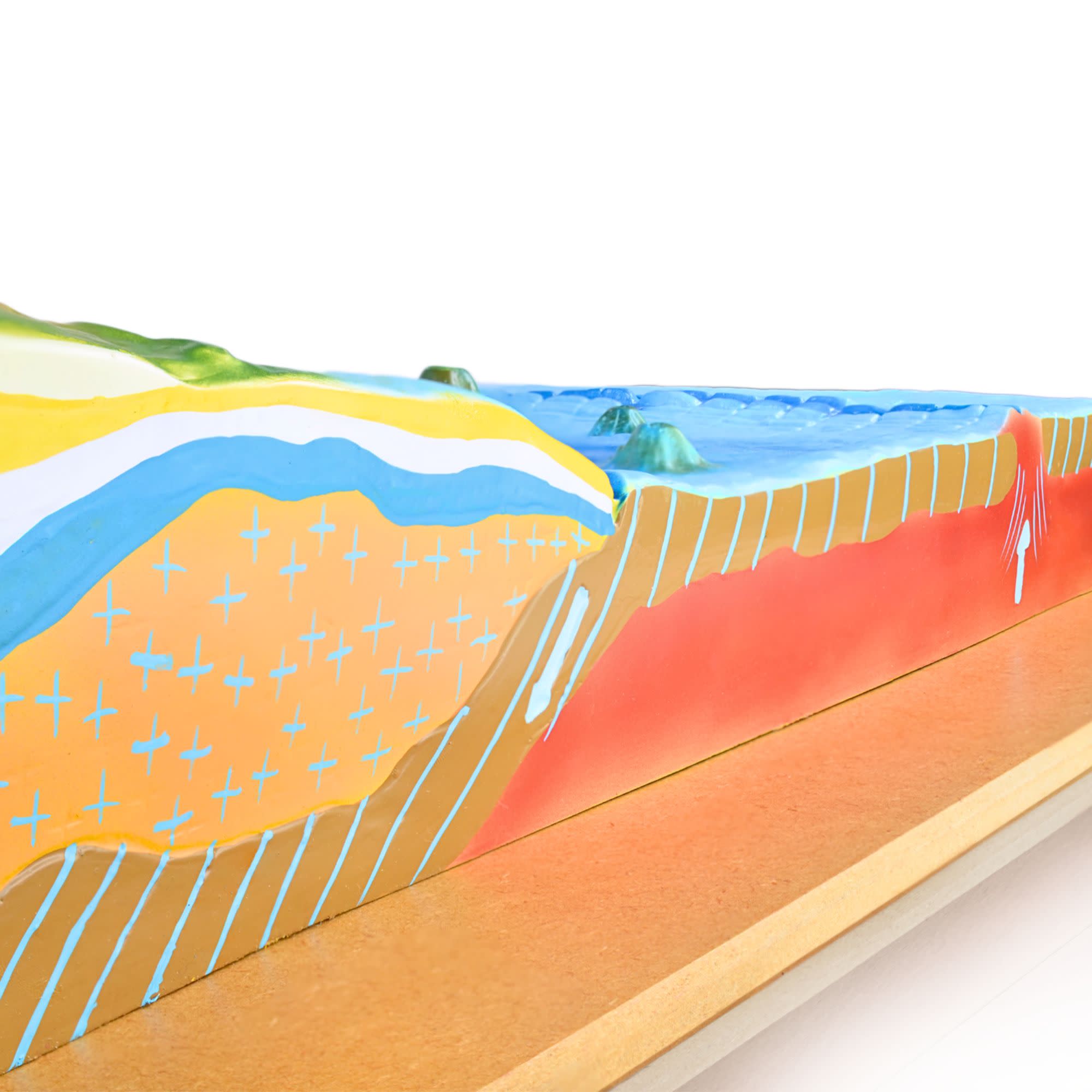 Sea Floor Wall-Mounted Teaching Model