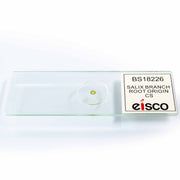 Salix Branch with Root Origin Cross-Section Prepared Microscope Slide