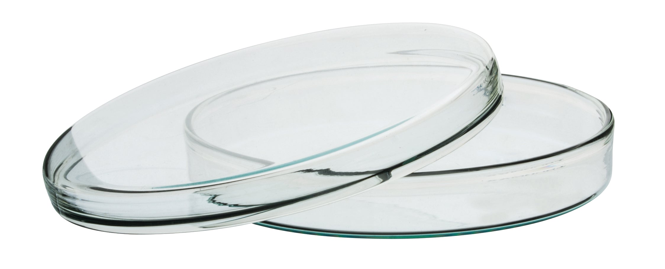 Borosilicate Glass Petri Dish with Beaded Edges
