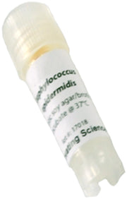 Staphylococcus Epidermidis Freeze-Dried Culture, Lyophilized Pellet in Vial