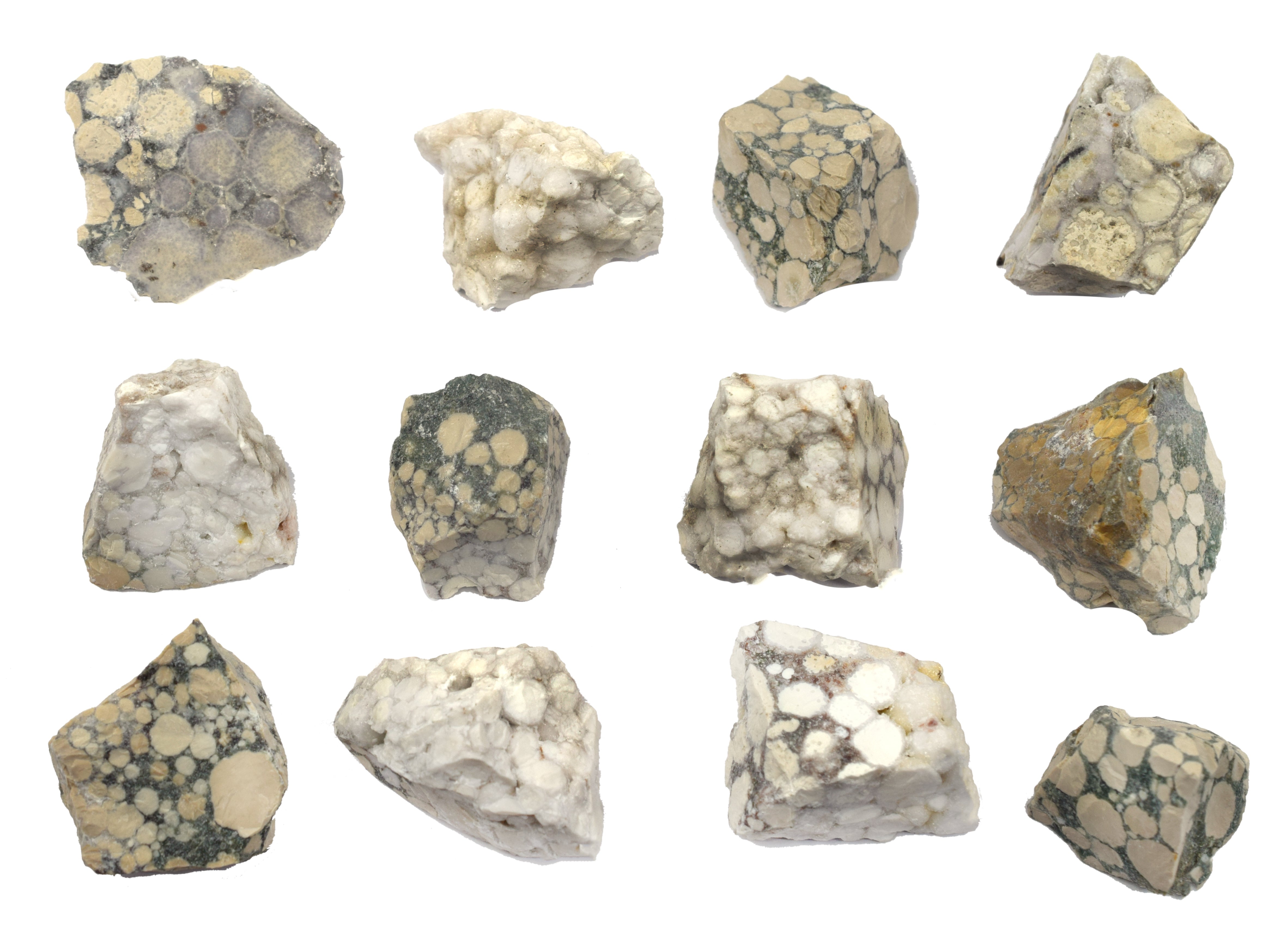 Conglomerate Specimen
