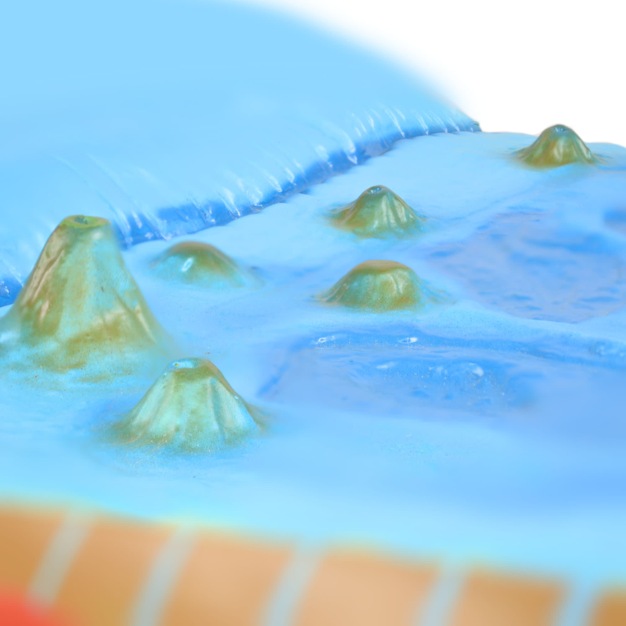 Sea Floor Wall-Mounted Teaching Model