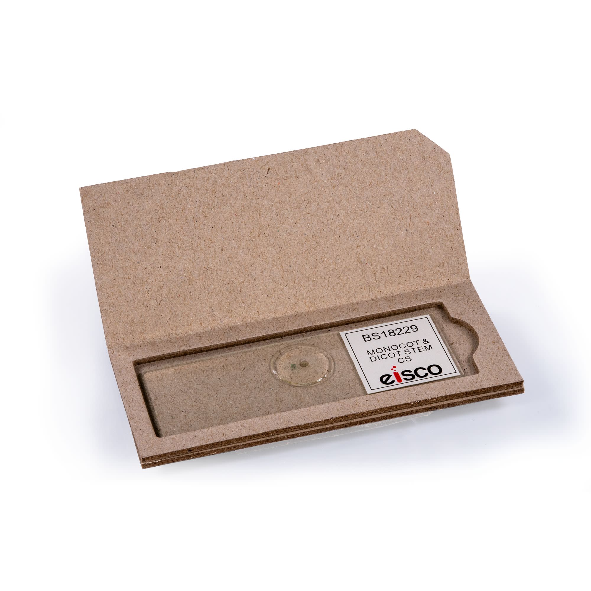 Monocot and Dicot Root Comparison Prepared Microscope Slide