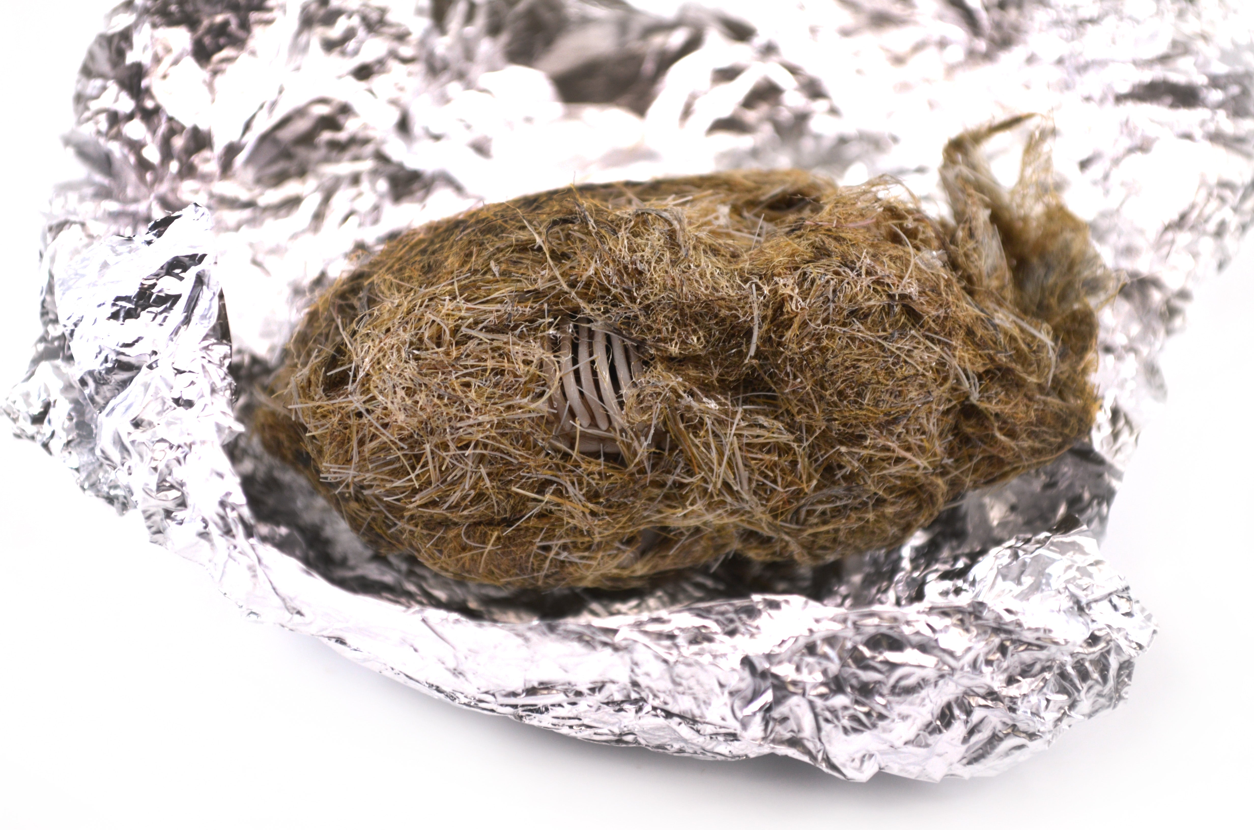 Simulated Owl Pellet with Vole, 3 x 1.25 inch
