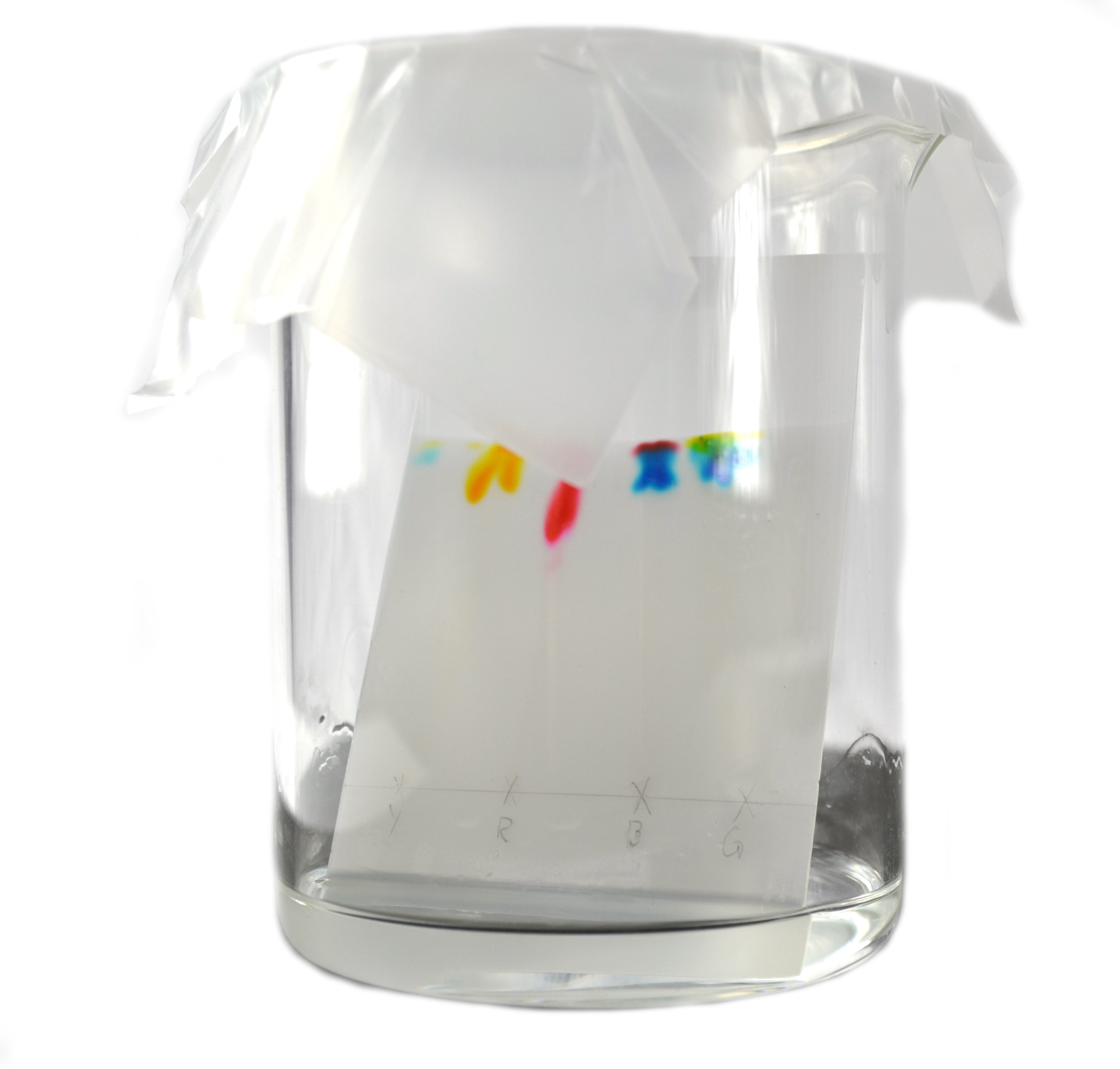 Thin Layer Chromatography Kit for 15 Student Groups