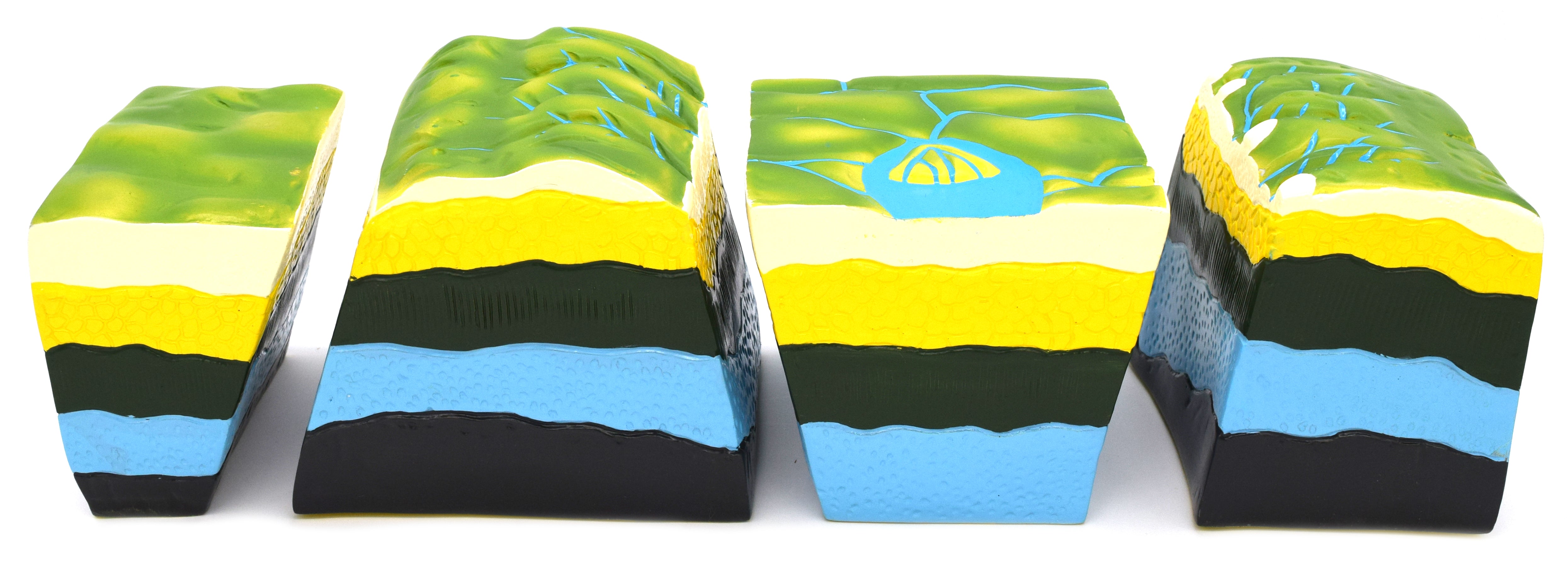 Fold and Fault Geology Teaching Model