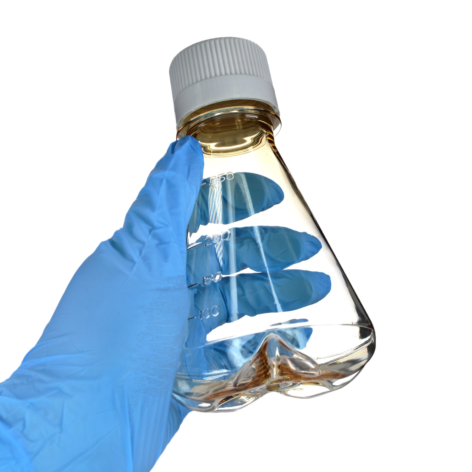 Sterile Non-Vented Baffled-Bottom Polycarbonate Erlenmeyer Flask, USP Class VI, 250mL