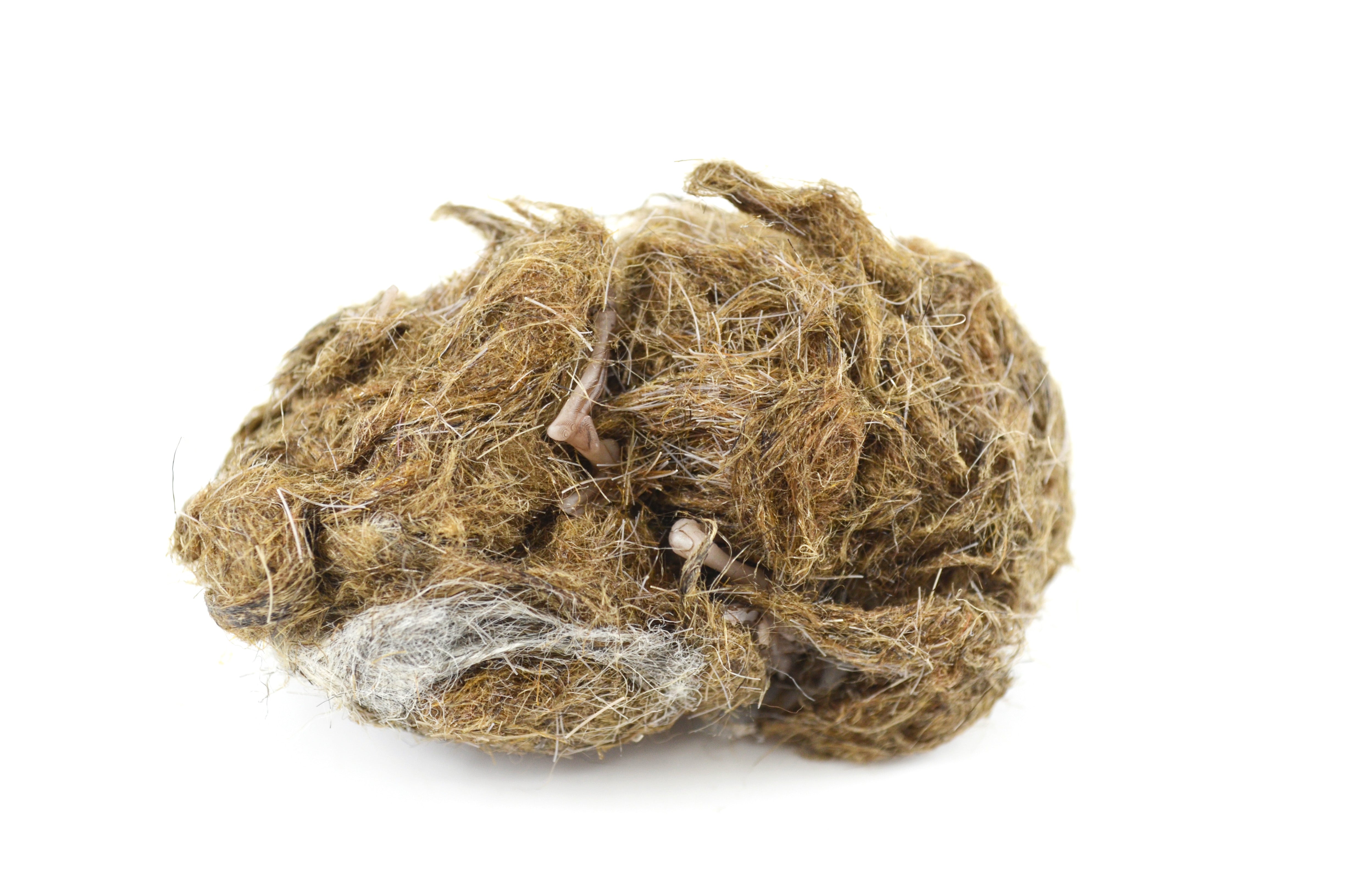 Simulated Owl Pellet with Mouse, 3 x 1.5 inch