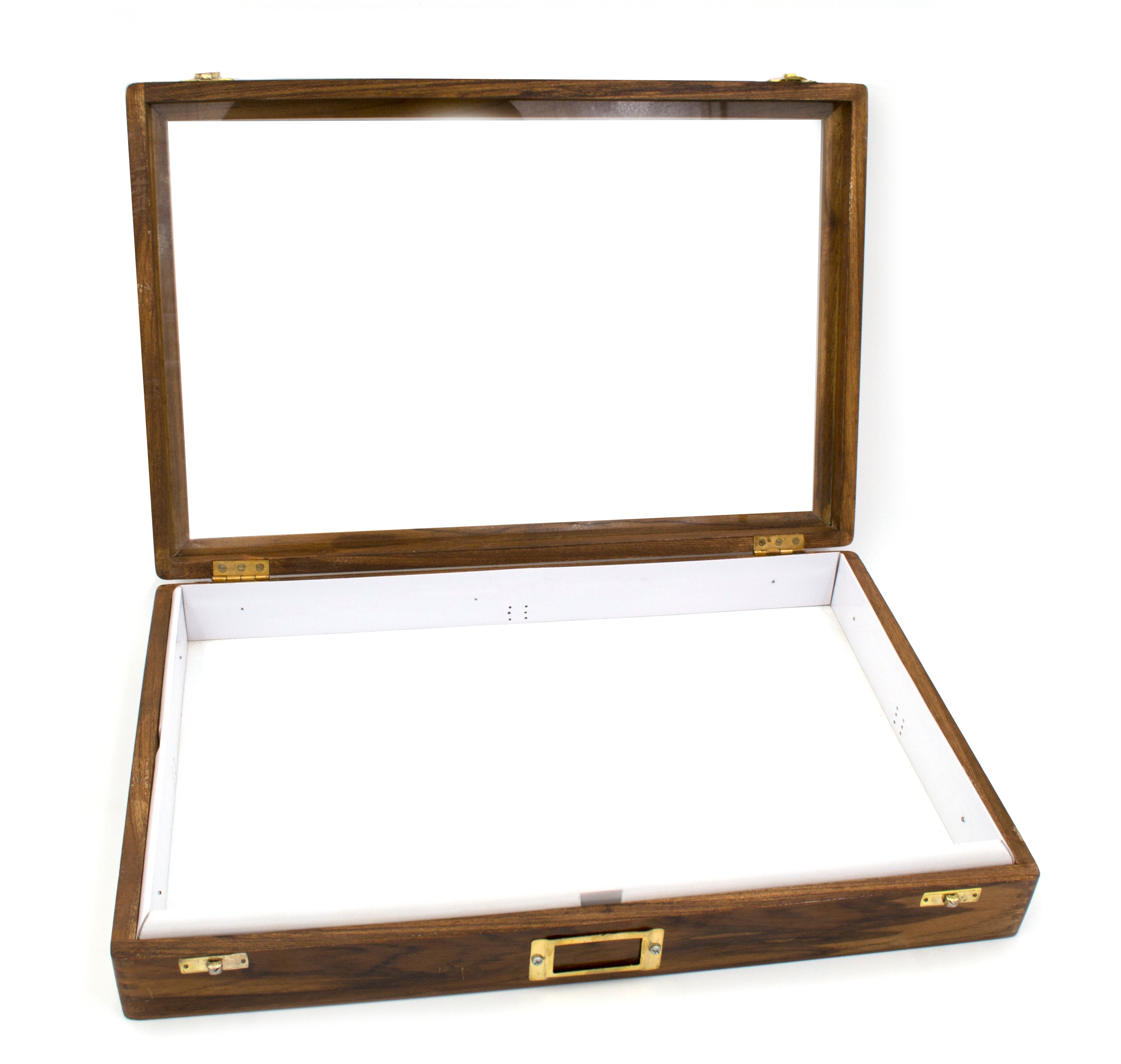 Polished Wood Insect Storage Box