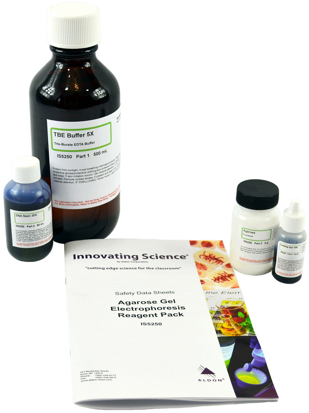 Agarose Gel Electrophoresis Reagent Kit for DNA and RNA Separation