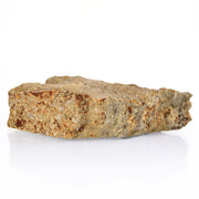 Raw Fossiliferous Limestone Sedimentary Rock Hand Sample, Approx 3 inch