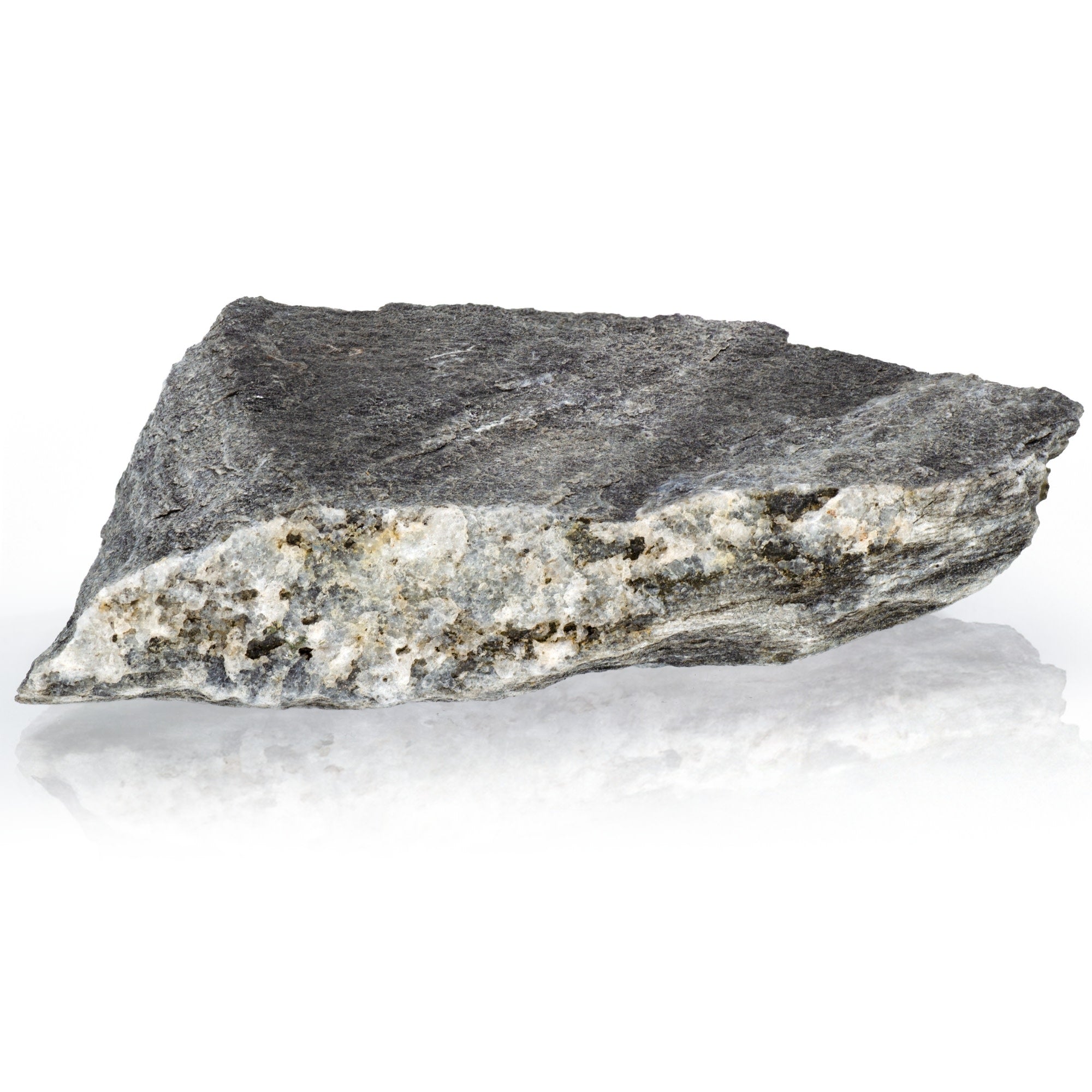 Raw Phyllite Metamorphic Rock Hand Sample, Labeled for Geology Classroom, Approx 3 inch