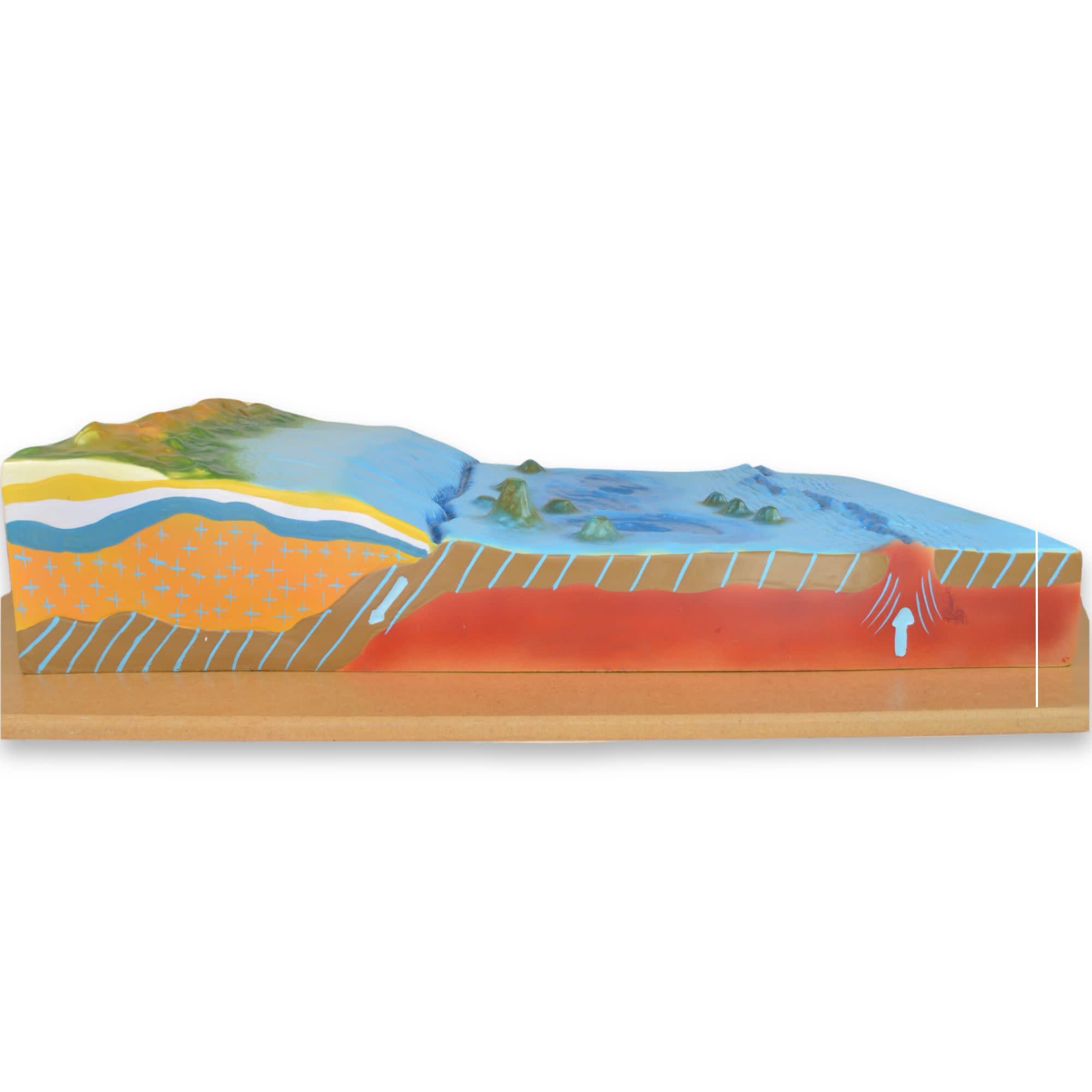 Sea Floor Wall-Mounted Teaching Model