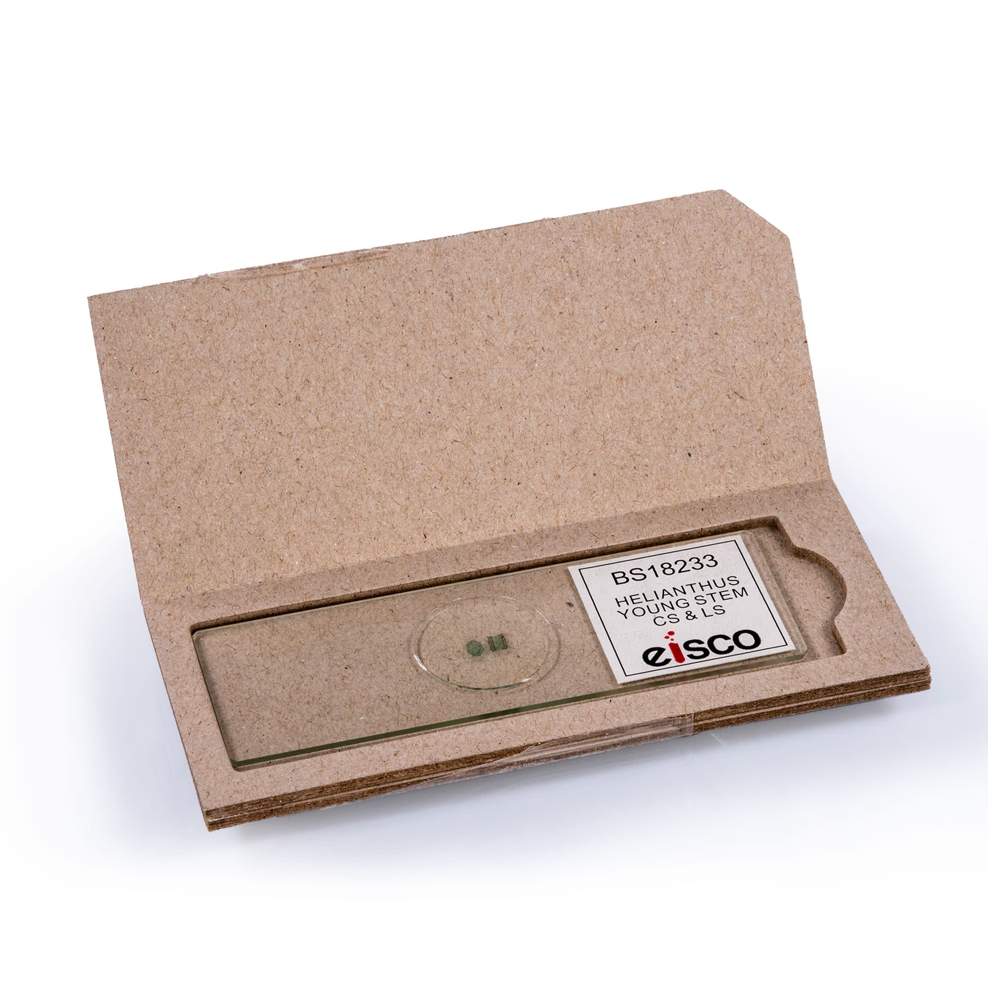 Helianthus Young Stem Cross and Longitudinal Section Prepared Microscope Slide