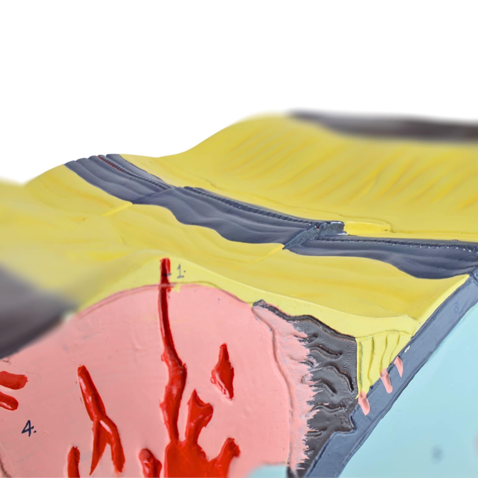 Plate Tectonics Labeled Teaching Model