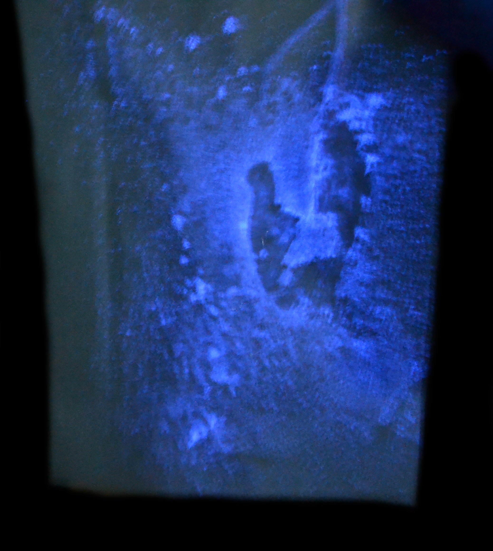 Chemiluminescence Blood Stain Detection Forensic Kit