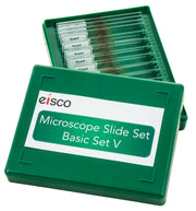 Protozoa and Algae Microscope Slide Set, 20-Piece
