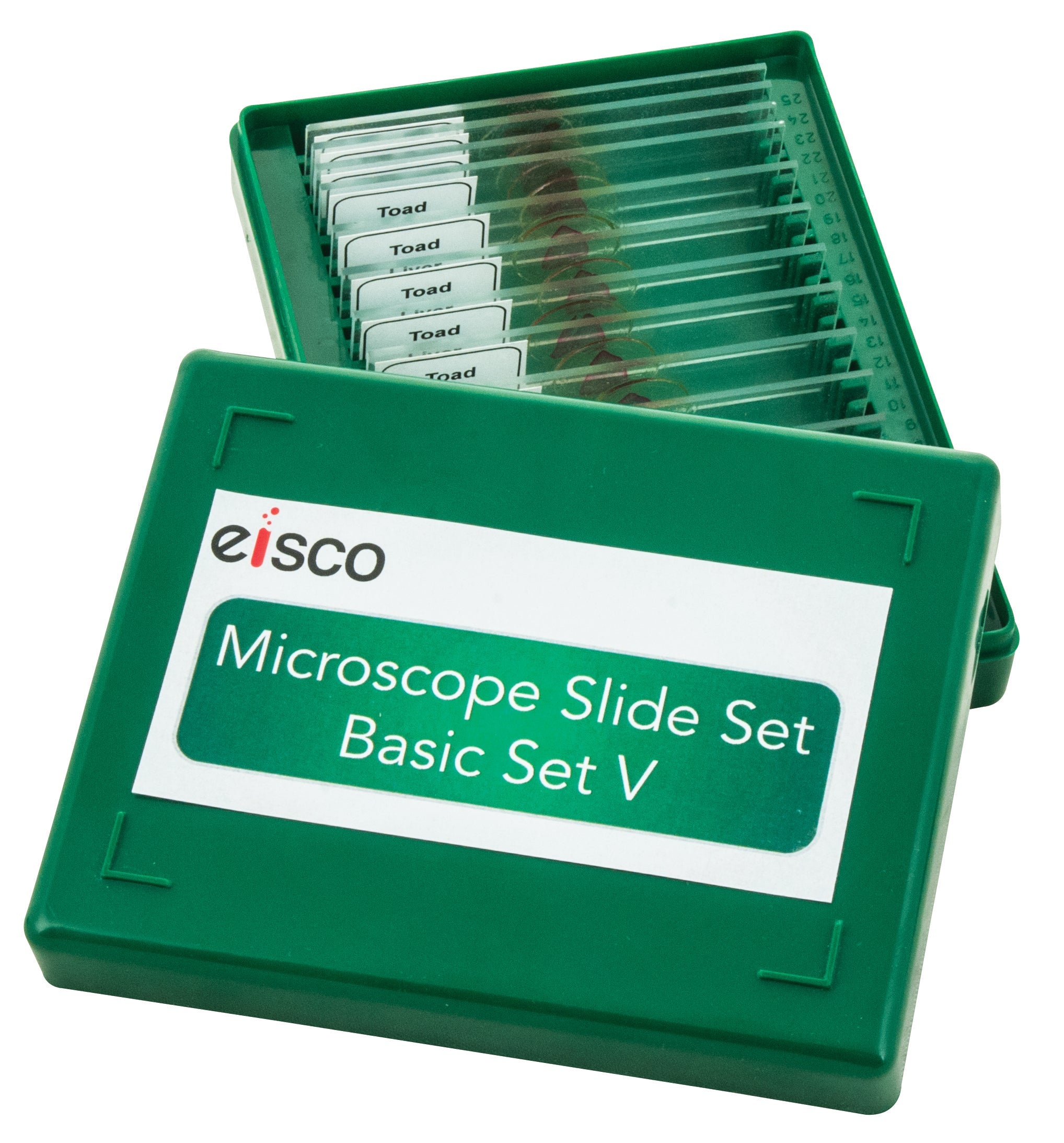 Protozoa and Algae Microscope Slide Set, 20-Piece