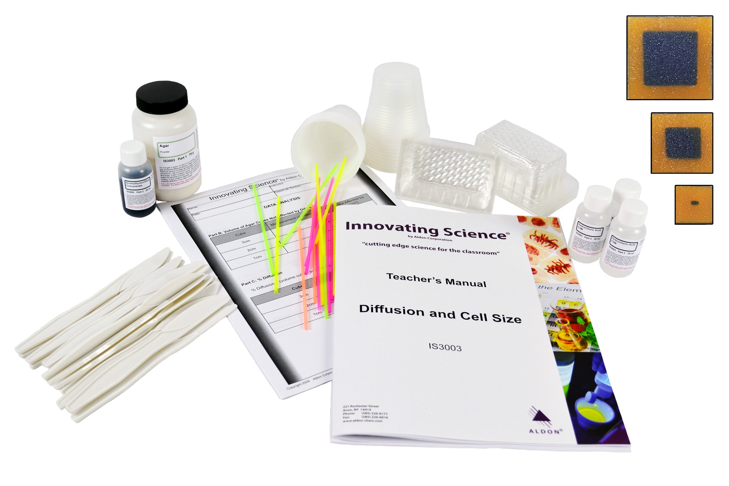 Diffusion and Cell Size Activity Kit