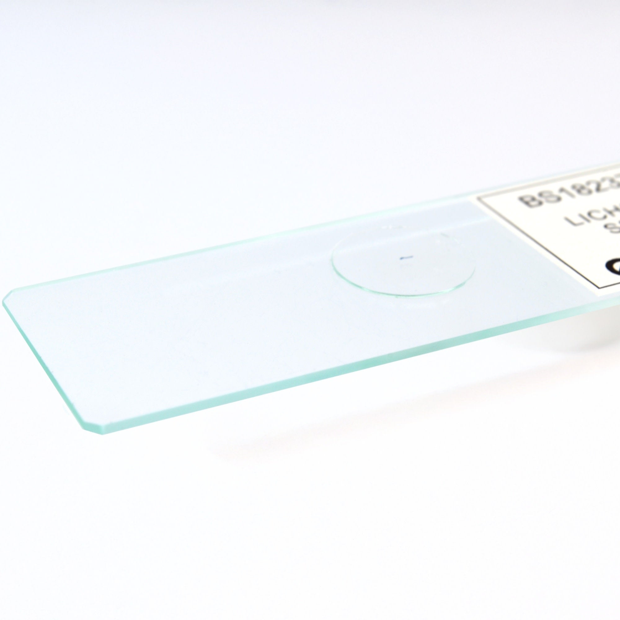 Lichen Thallus Section Prepared Microscope Slide