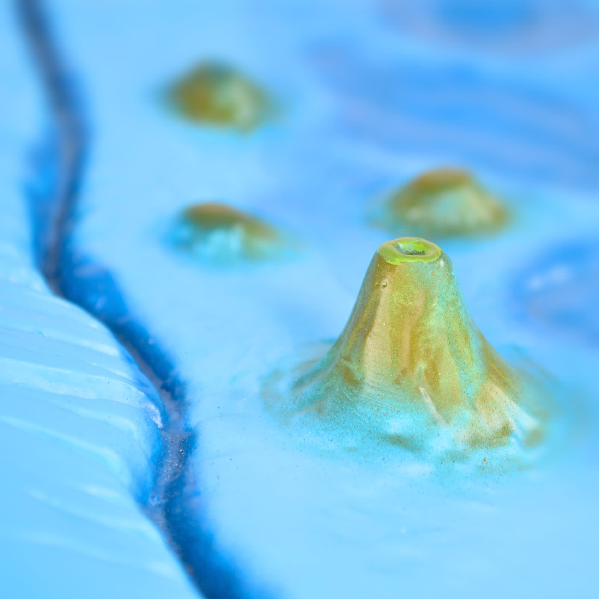 Sea Floor Wall-Mounted Teaching Model