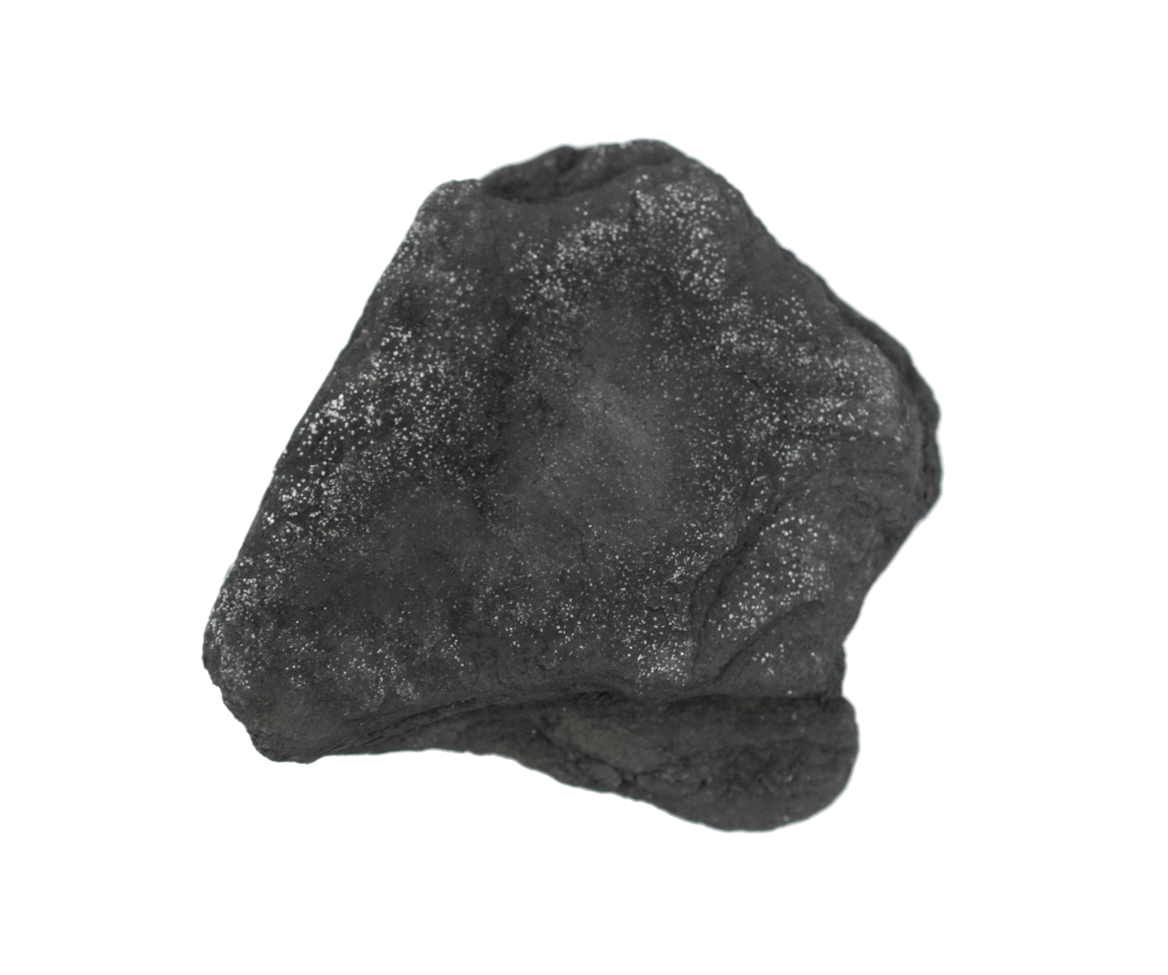 Anthracite Coal Specimen