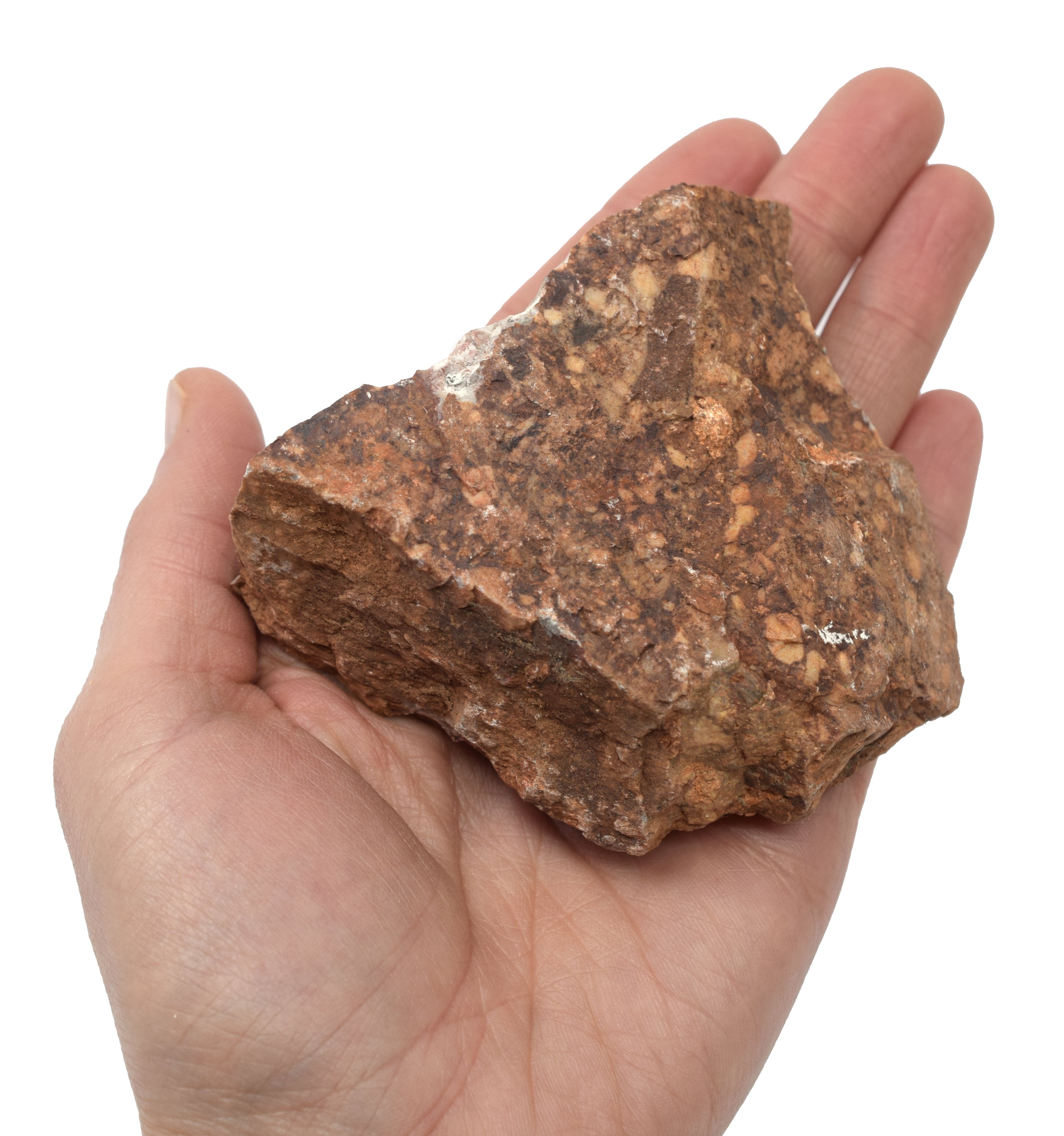 Raw Breccia Sedimentary Rock Hand Sample, Approx 3 inch