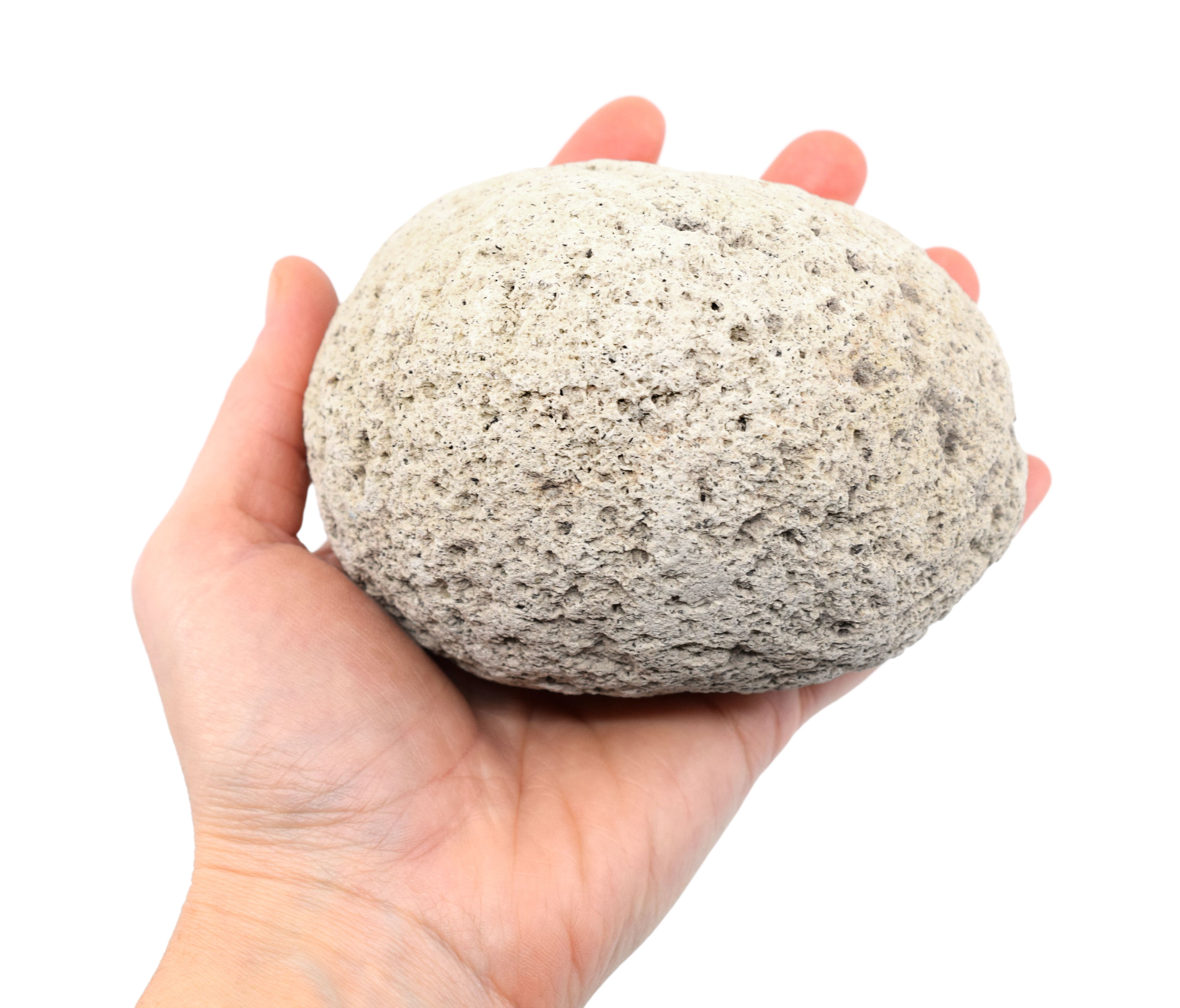 Raw Pumice Igneous Rock Hand Sample, Approx 3 inch